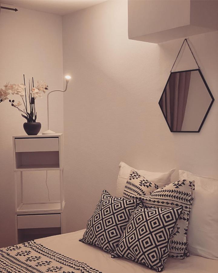 Superbe Duplex En Plein Coeur De Nancy ナンシー エクステリア 写真