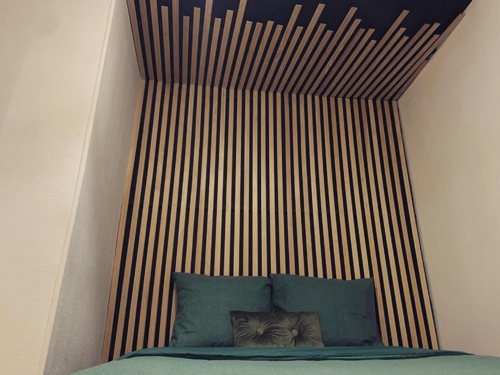 Superbe Duplex En Plein Coeur De Nancy ナンシー エクステリア 写真